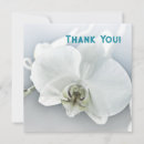 Pesquisar por phalaenopsis Floral