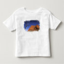 Pesquisar por monolito camisetas Natureza