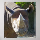 Pesquisar por mammals fotografia Zoo