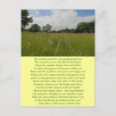 Pesquisar por summer solstice cartoes postais Litha