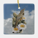 Pesquisar por cactus ornamentos Natureza