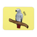 Pesquisar por angola imas África