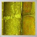 Pesquisar por planta de bambu pósteres Abstrato