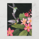 Pesquisar por arte tropical cartoes postais Natureza