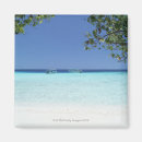 Pesquisar por maldives imas Planta