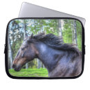 Pesquisar por fotos cavalos capas Percheron puro sangue
