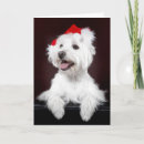 Pesquisar por west highland terrier cartoes Branco