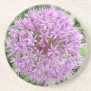 Pesquisar por bulbo porta copos Flores