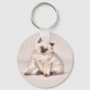Pesquisar por ragdoll chaveiros Animal