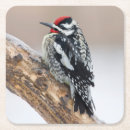 Pesquisar por barriga porta copos Natureza