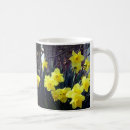 Pesquisar por daffodils canecas Qualquer pessoa