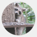 Pesquisar por casulo adesivos Mamíferos