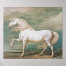 Pesquisar por white horse pôsteres pósteres Pferd