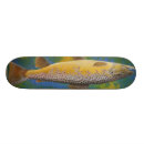 Pesquisar por moscas skates Pesca