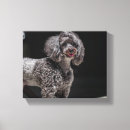 Pesquisar por língua impressão de canvas Cão