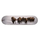 Pesquisar por inverno skates Natureza