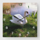 Pesquisar por cisne relogios de parede Casa