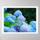 Pesquisar por decorative artes pósteres Para ela