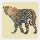 Pesquisar por panther adesivos Gato grande