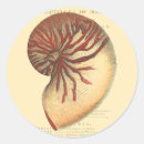 Pesquisar por concha adesivos Oceano