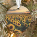 Pesquisar por flower garden ornamentos Blossom