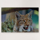 Pesquisar por lince Vida selvagem