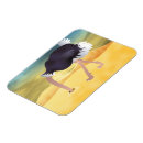 Pesquisar por avestruz imas Humor