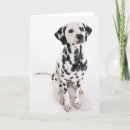 Pesquisar por dalmatian cartoes Animal