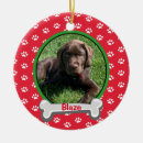 Pesquisar por animal novo ornamentos Cachorros