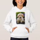 Pesquisar por os bolsas do golden retriever moletons com capuz Filhote de cachorro