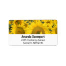 Pesquisar por girassol etiquetas Verão