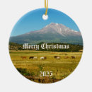 Pesquisar por cavalo mustang de natal decoração Cavalos