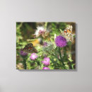 Pesquisar por espinhos impressão de canvas Borboletas