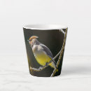 Pesquisar por aves canoras canecas Amarelo
