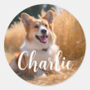 Pesquisar por foto animal adesivos Para ela