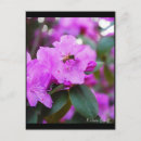 Pesquisar por bumble bee cartoes postais Fotografia