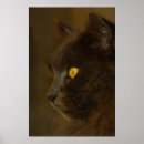 Pesquisar por noruegueses pôsteres pósteres Fofo