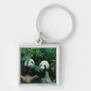 Pesquisar por pandas chaveiros Bambu