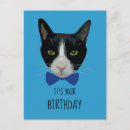 Pesquisar por tuxedo cat cartoes Gato preto e branco
