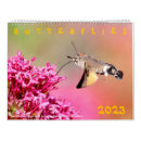 Pesquisar por borboletas calendarios Flor