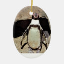 Pesquisar por do pinguim ornamentos Para todos