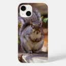 Pesquisar por esquilo iphone capas Roedor