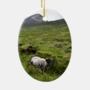 Pesquisar por irlandês ornamentos Para eles