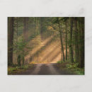 Pesquisar por brilhando cartoes postais Natureza