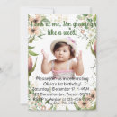 Pesquisar por natureza abstrata convites Para ela