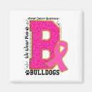 Pesquisar por apoio ao cancer de mama imas Sobrevivente de câncer