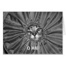 Pesquisar por lolcat Bonito