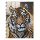 Pesquisar por tiger cadernos de notas Retrô