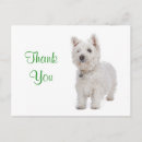 Pesquisar por west highland terrier cartoes postais Cachorrinho