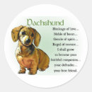 Pesquisar por dachshund adesivos Animais de estimação